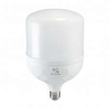 FFLIGHTING T-Bulb 30W/40W/60W E27 Day Light